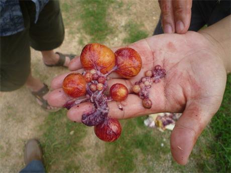 �����ں���ʡ�I���h���u�������g(sh��)ָ��(d��o)���D�V�W(xu��)��(x��)